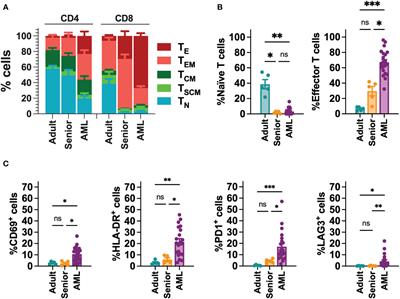 Optimization of universal allogeneic CAR-T cells combining CRISPR and transposon-based technologies for treatment of acute myeloid leukemia